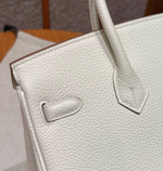 Hermes Birkin 25