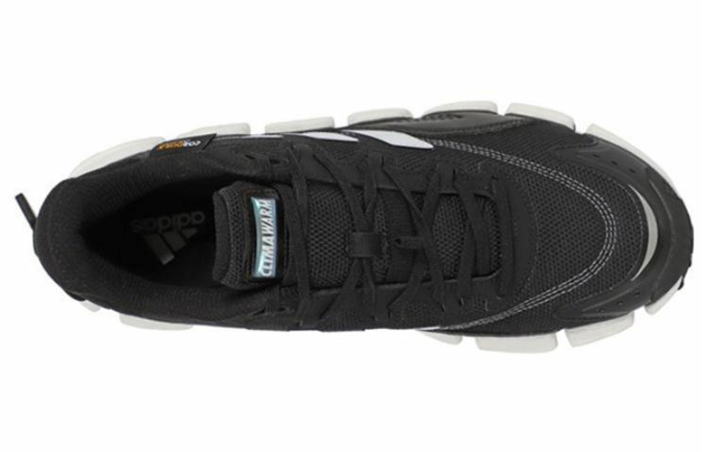 Кроссовки Adidas Climawarm Boost