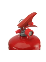 Огнетушитель ОП-2 (ABCE-01, 2л)