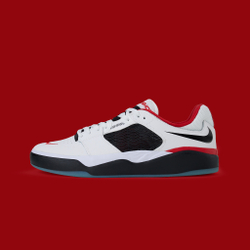 Кеды Nike SB Ishod PRM Leather "Chicago"