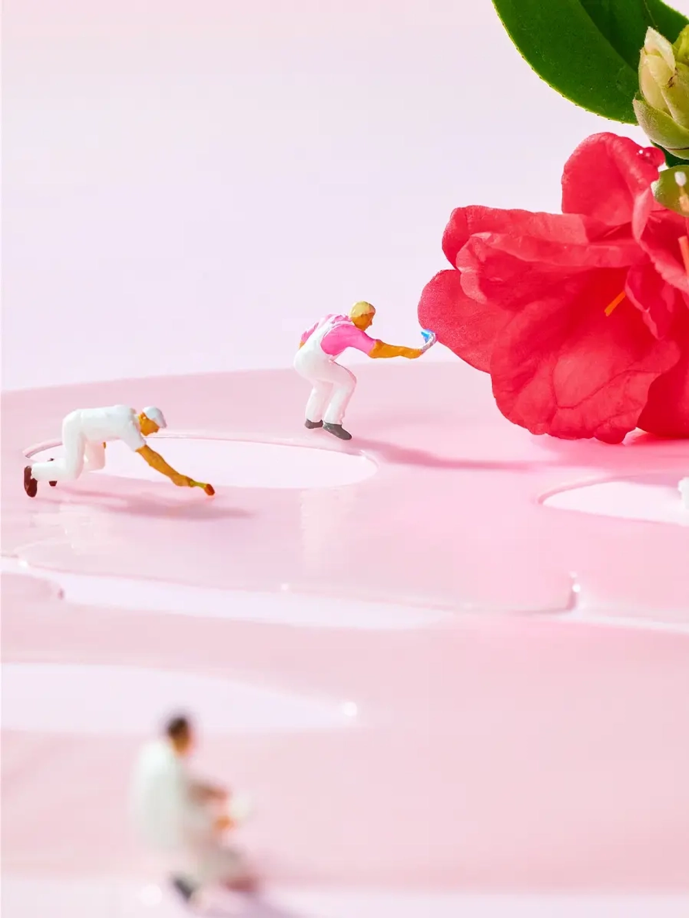 Round Lab Гидрогелевая маска с экстрактом камелии и коллагеном Camellia Deep Collagen Firming Gel Mask 34 гр х 4 шт