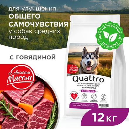 Корм сухой для взрослых собак средних пород, премиум полнорационный комплекс, улучшение общего самочувствия, с говядиной, 12 кг, QUATTRO