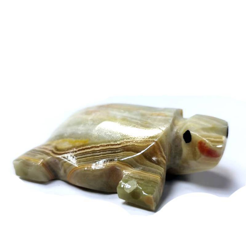 Черепаха оникс пейзажный 570.0