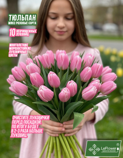 Тюльпан Луковица, Микс розовых сортов, 10шт 