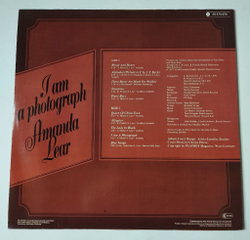 Винтажная виниловая пластинка LP Amanda Lear I Am A Photograph (Germany 1977) Blood And Honey