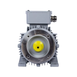 Электродвигатель ESQ PR 100 LB4-SDN-Б1-S12-IE2 3/1500 IMB34