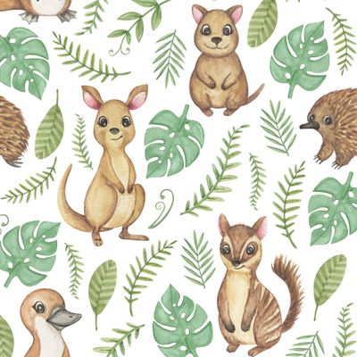 Джунгли и животные