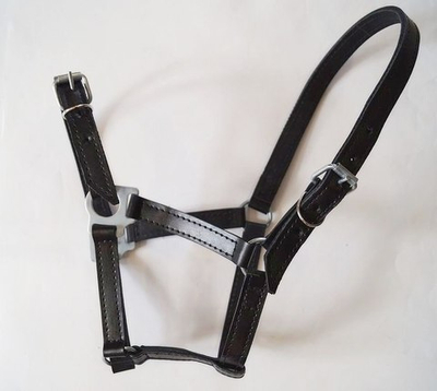 Недоуздок кожа