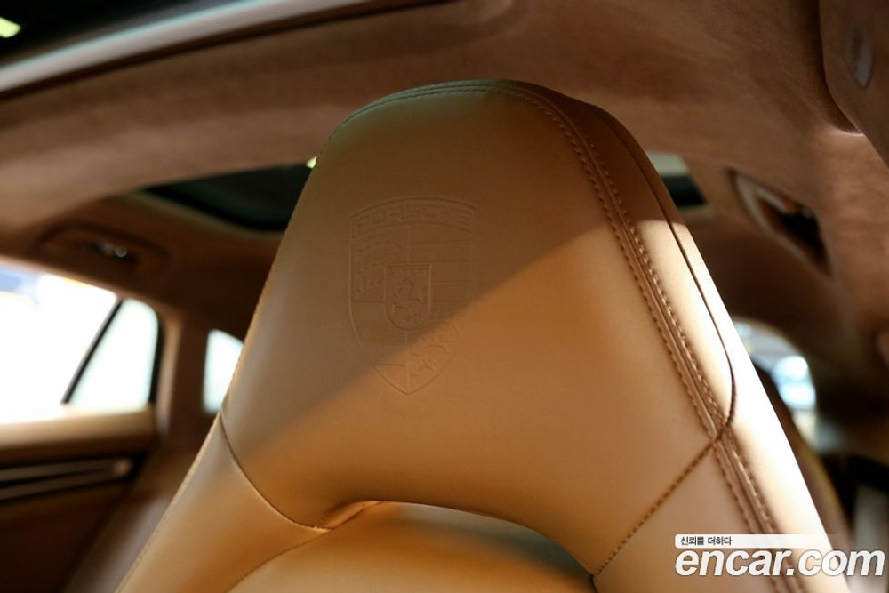 Porsche Panamera (971) 2.9 AWD Platinum Editions (08.2022)