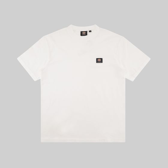 Футболка мужская Dickies Skateboarding Mount Vista Shirt артикул:WSSK6 - купить в магазине Дайс