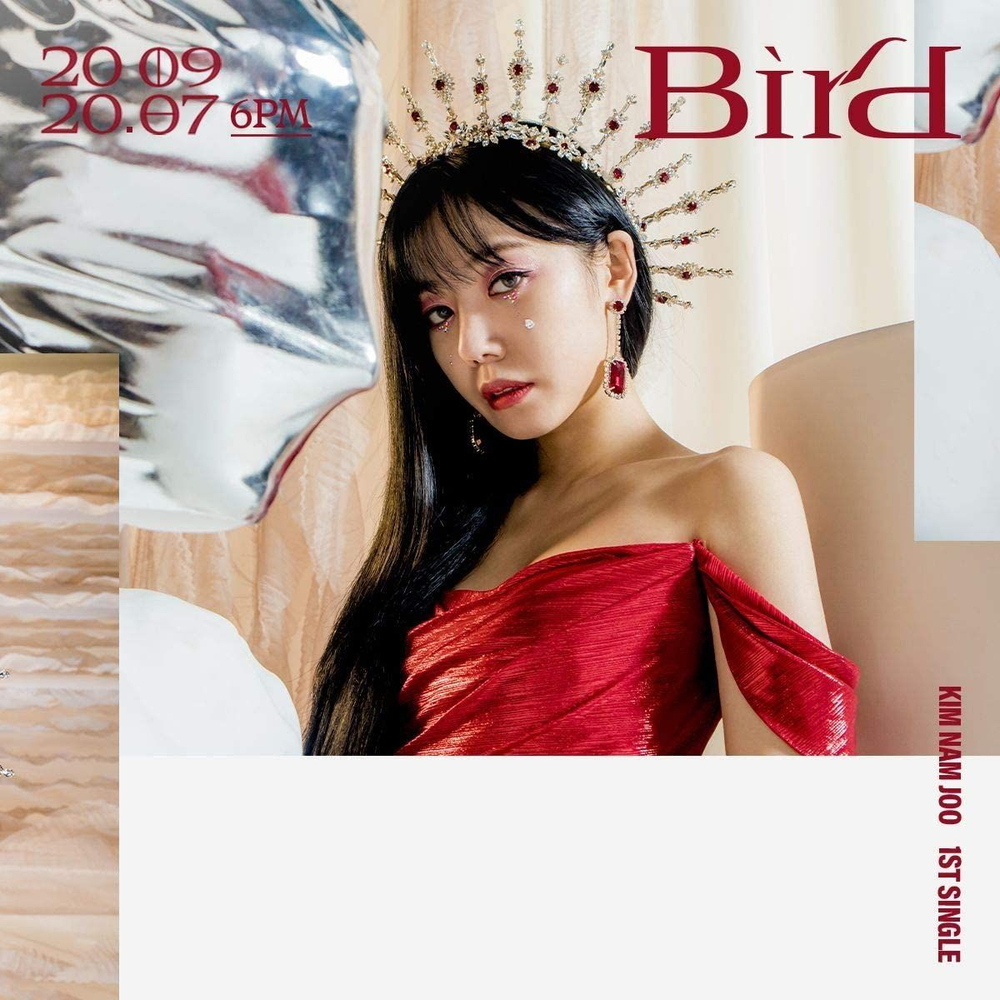 Альбом Kim Namjoo (Apink) - Bird 1st Single Album