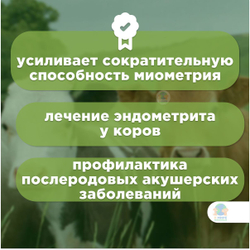 МОСАГРОГЕН Эндометрамаг-Био, раствор для внутриматочного введения, для КРС, 1 л. Гентамицин.