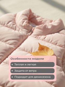 Жилет для собак