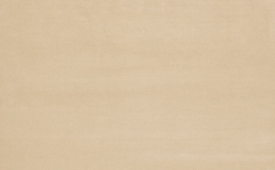 Велюр Гран При 08