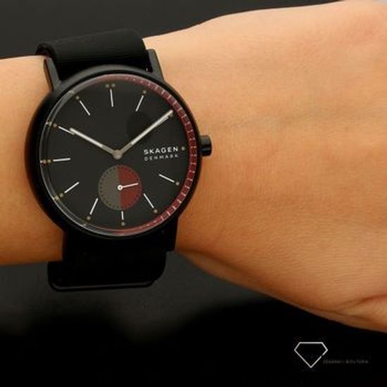 Мужские часы Skagen SKW6540