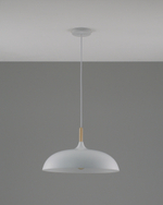 Подвесной светильник Moderli V1330-P Hygo