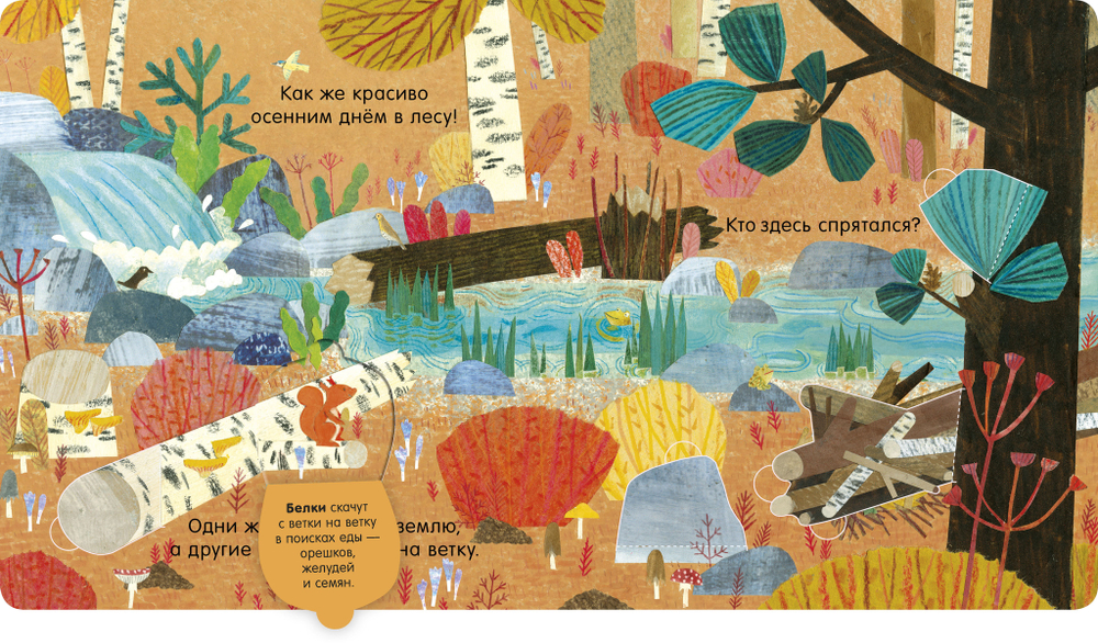 Книжка с окошками. В лесу