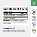 Designs For Health - Anaerostipes Probiotic 30 capsules