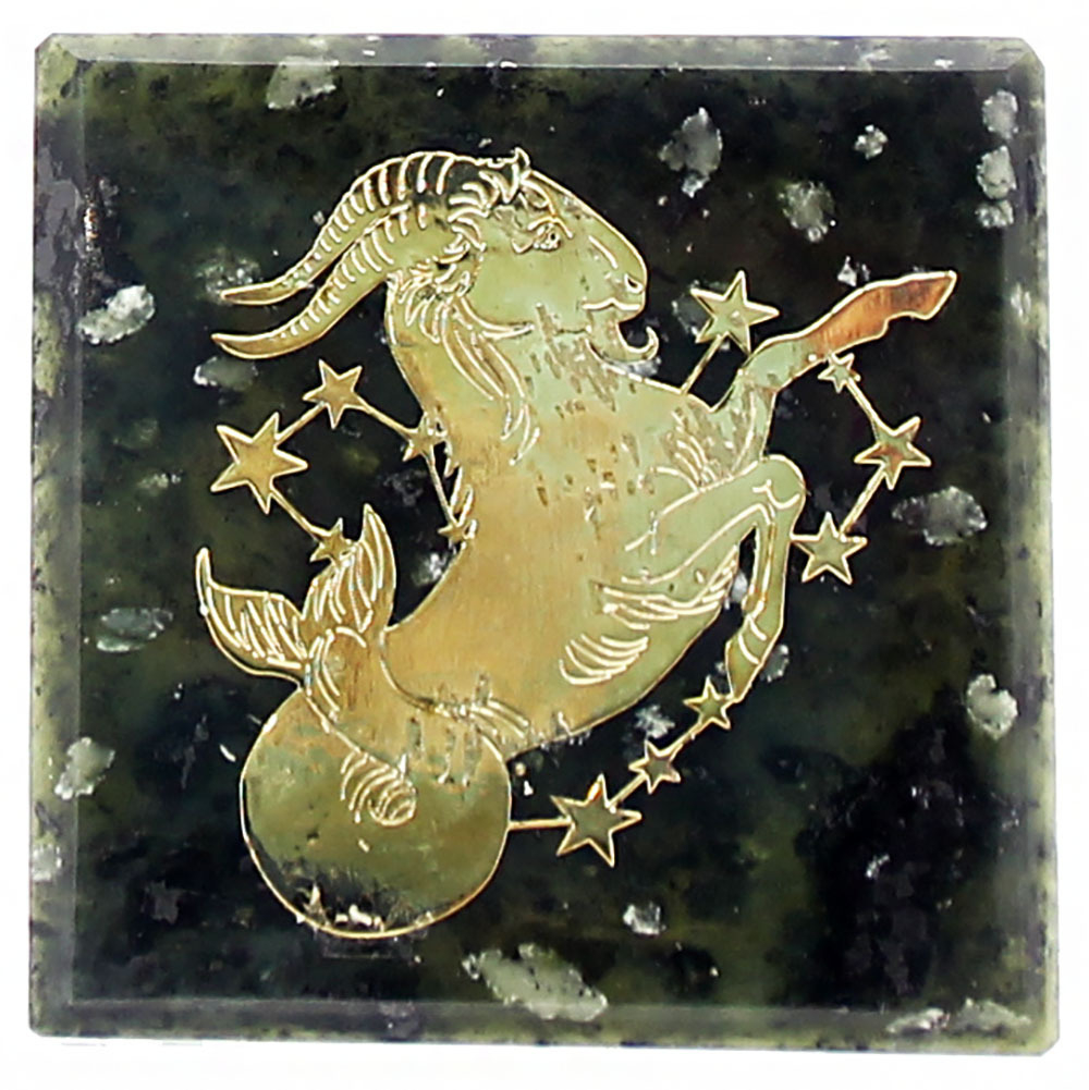 Пластина на магните "Знак зодиака" змеевик