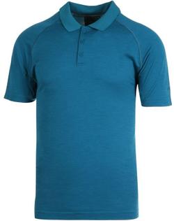 Мужское поло теннисное Wilson M F2 Seamless Polo - brittany blue