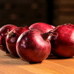 Дарко F1 семена лука репчатого (Syngenta / Сингента)