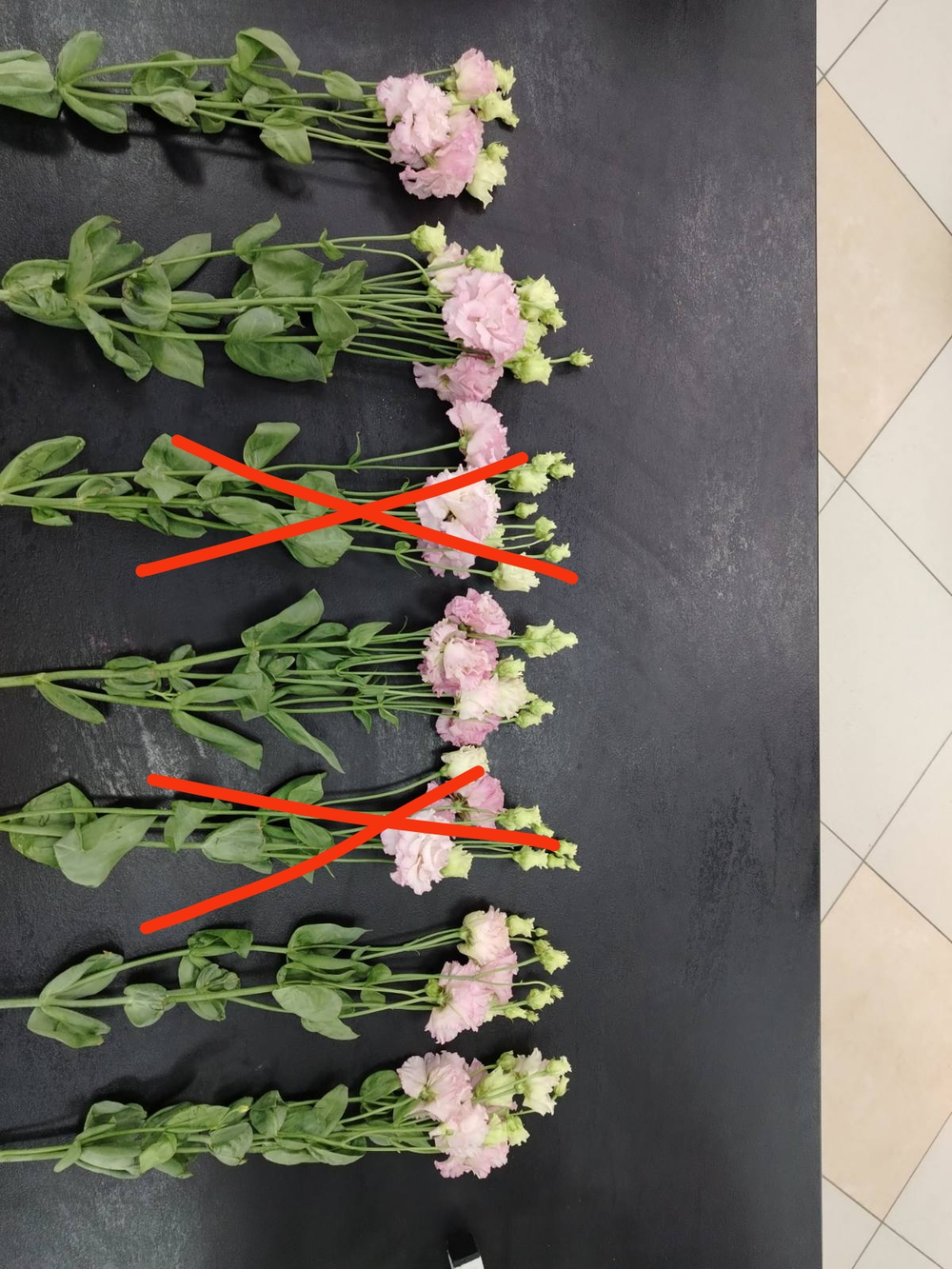 Пять веточек эустомы в упаковке