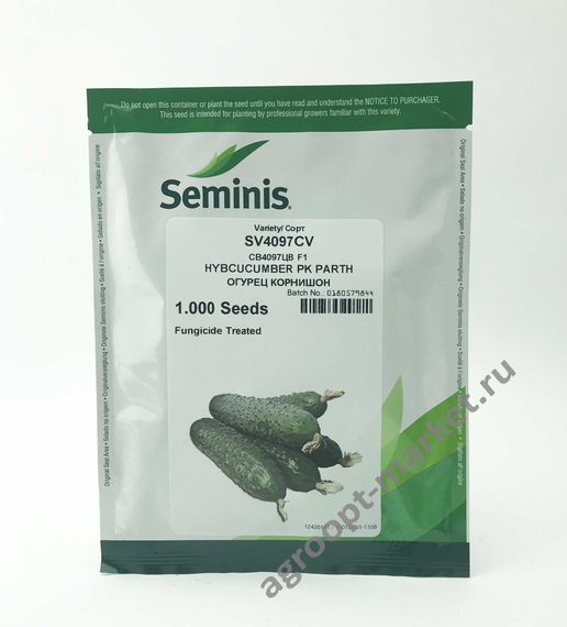 4097 F1 семена огурца партенокарпического (Seminis / Семинис) упаковка – фото 16