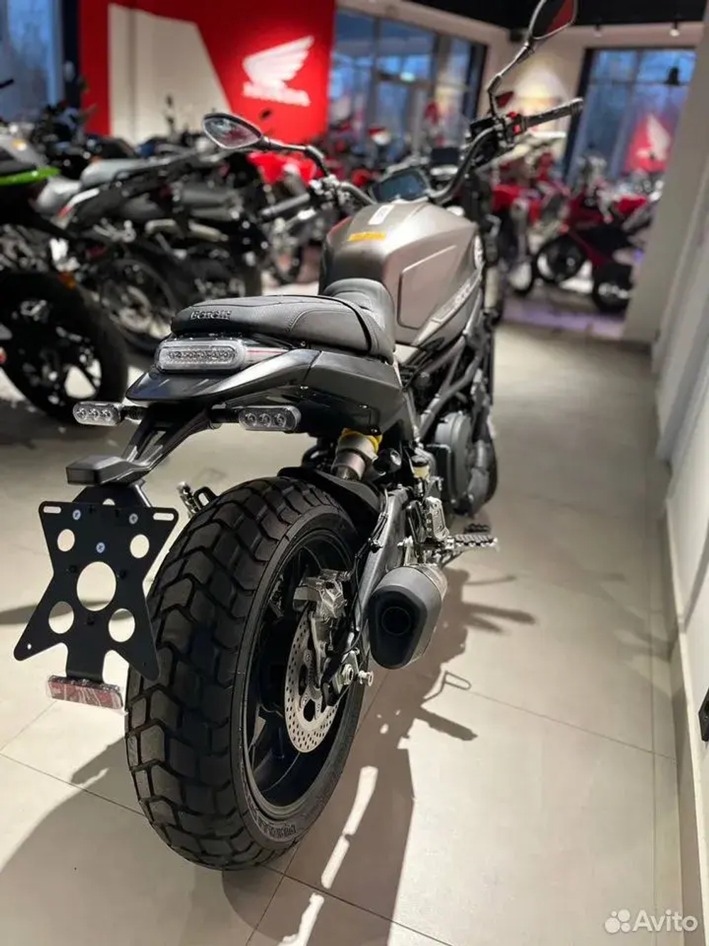 Benelli Leoncino 800