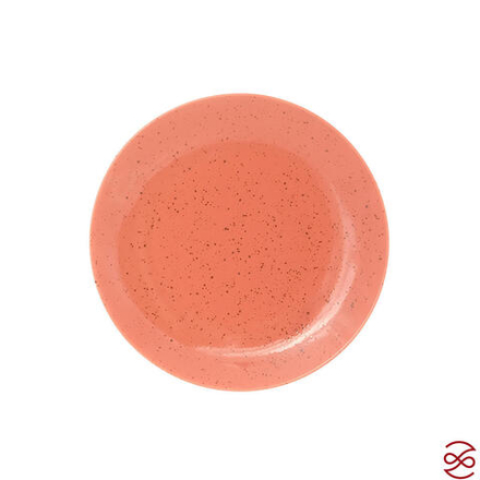 Тарелка Repast Lifestyle TERRACOTTA 27см (2шт)
