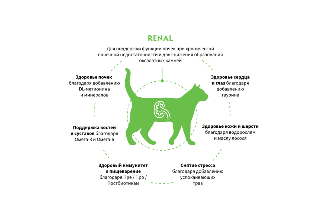 GRANDORF RENAL сухой корм для кошек / для поддержания функции почек при хронической или временной почечной недостаточности(2 кг)