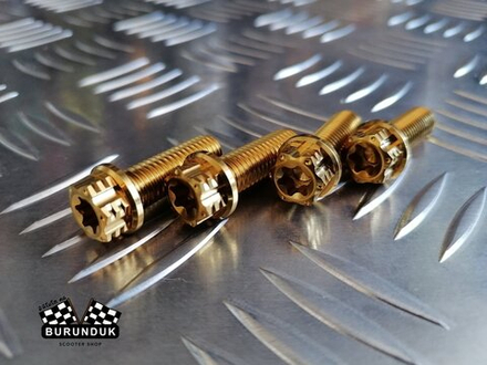 ТИТАНОВЫЙ БОЛТ M8 x 25 [ 2 шт ] ( для крепления суппорта ) DIO (ДИСКОВЫЕ ТОРМОЗА)