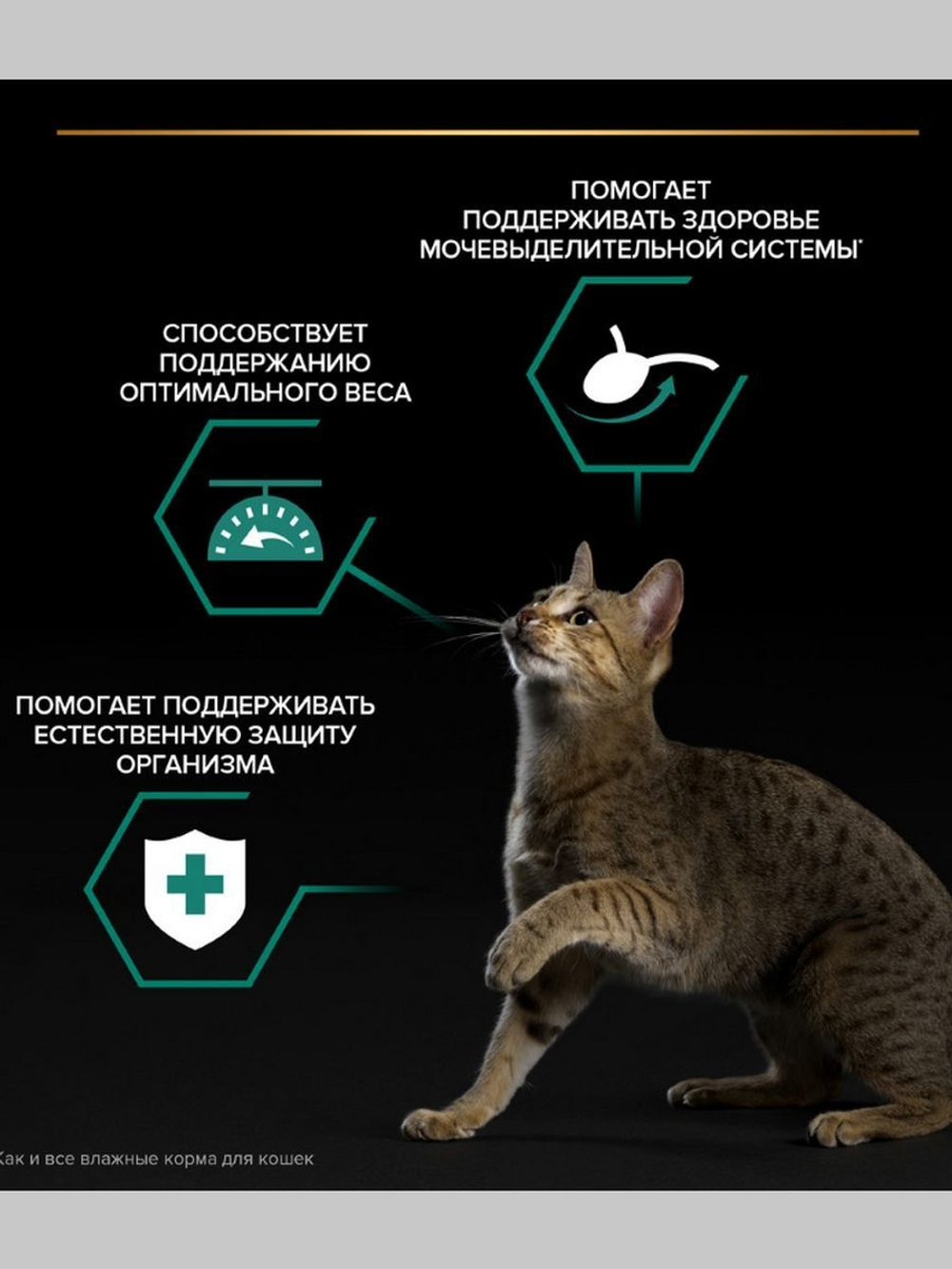 Влажный корм Purina Pro Plan Sterilised MAINTENANCE для стерилизованных кошек - Океаническая рыба в желе (85гр)