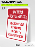 Табличка для частной территории "Частная собственность не слоняться и не курить", на дом, для участка, организаций, предупреждающая, 40х30 см, Silver Plane x Айдентика Технолоджи