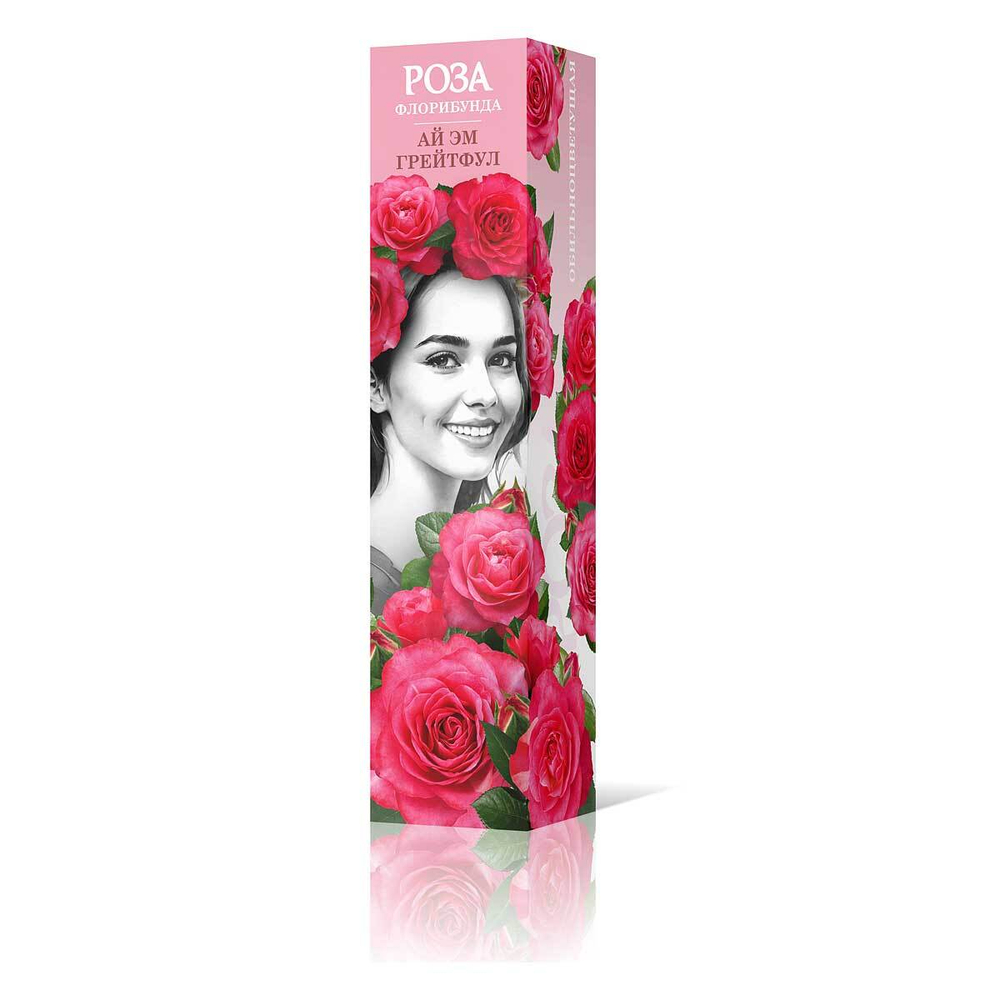 Роза флорибунда Ай Эм Грейтфул Садовита
