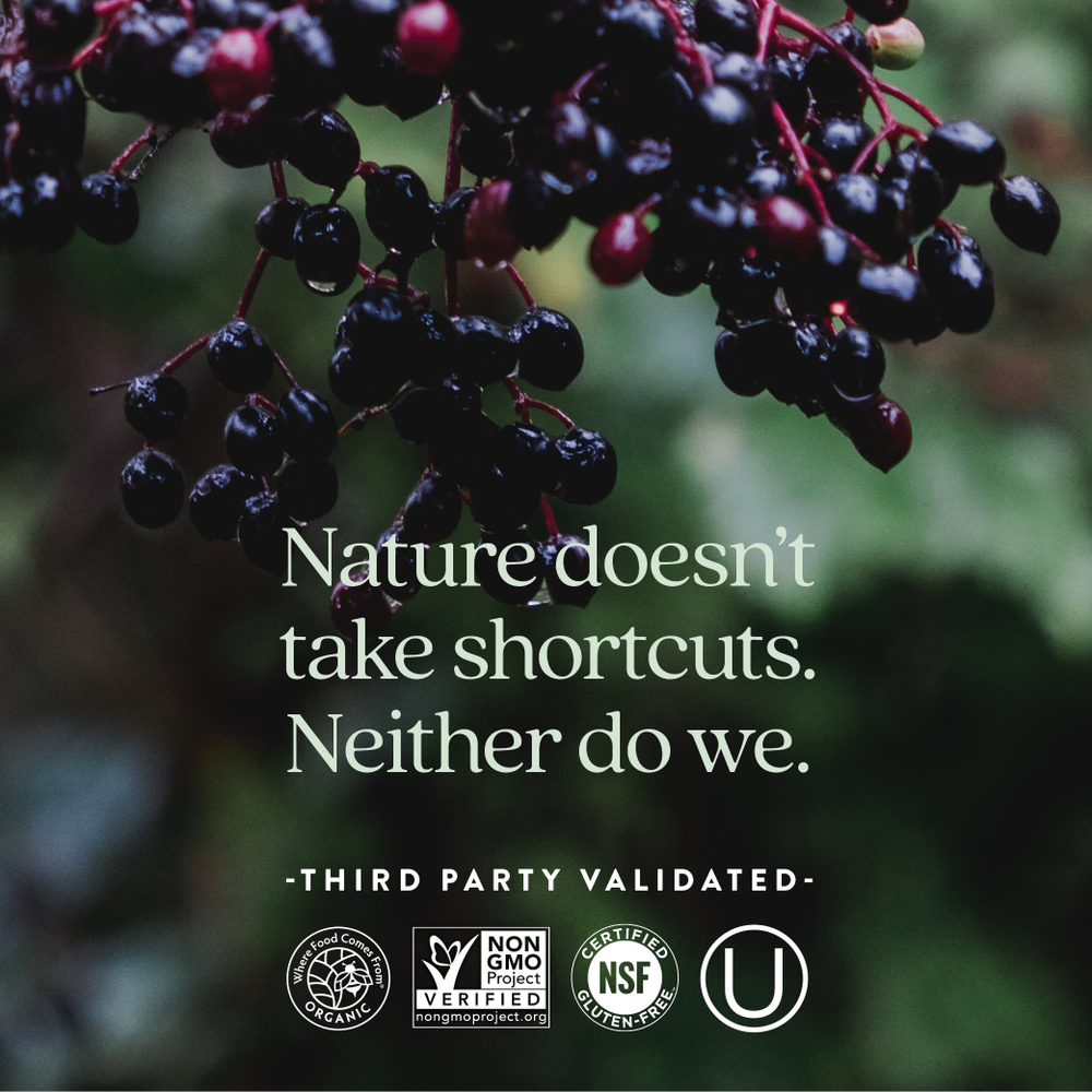 New Chapter, One Daily Every Woman's, мультивитамины, 72 вегетарианские таблетки