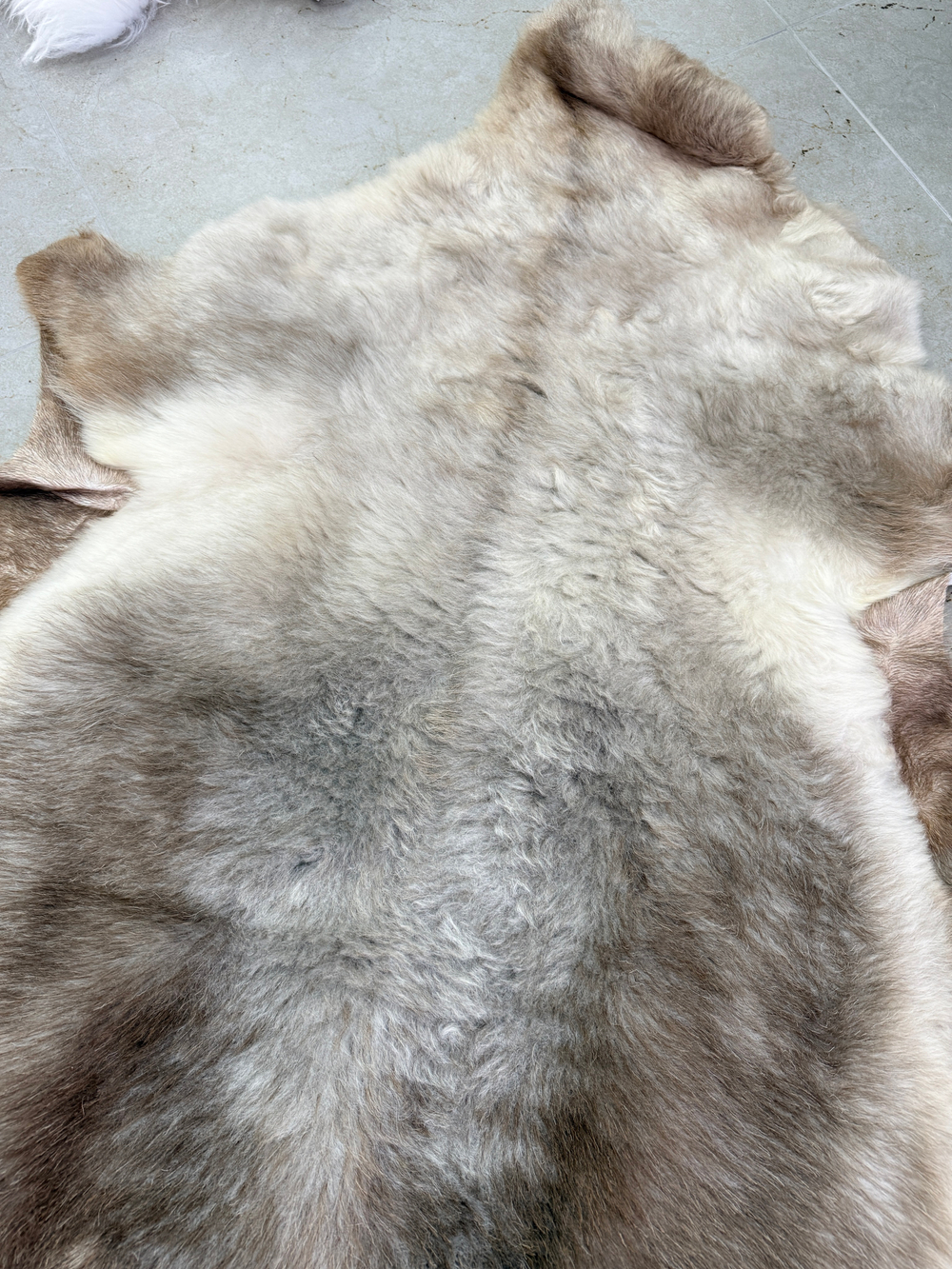 Шкура коврик меховой прикроватный овчина, 120х65 см.