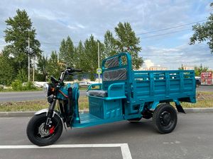 Грузовой электрический трицикл IKINGI CARGO PRO Q05 2000W (60V/45Ah) - Бирюзовый фото №3