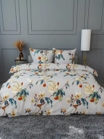 Постельное белье 2,0 полисатин Павлайн с Евро простыней Весна