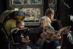 Детская прогулочная коляска Anex AIR-X Ax-SE-01 se woo