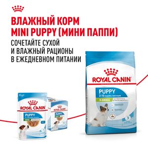 Сухой корм Royal Canin X-Small Puppy для щенков очень мелких размеров до 10 месяцев