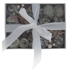 GAEM Изделие декоративное "Новогодняя композиция", L20 W15 H9 см