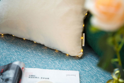 Наволочка 45х45 Sofi De MarkO Flash молоко