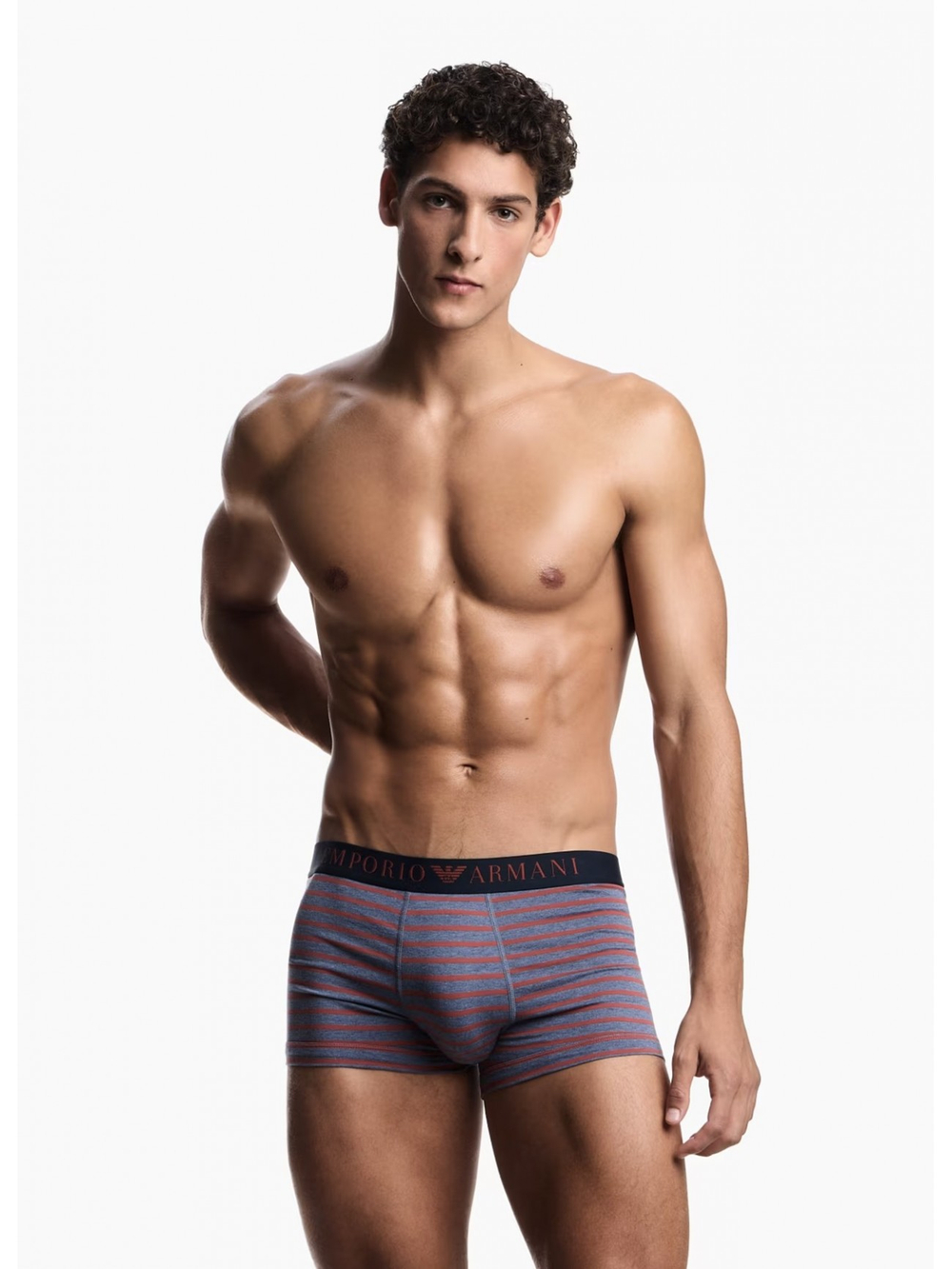 Комплект трусов-боксеров мужских Mens Knit 2-Pack Trunk EMPORIO ARMANI