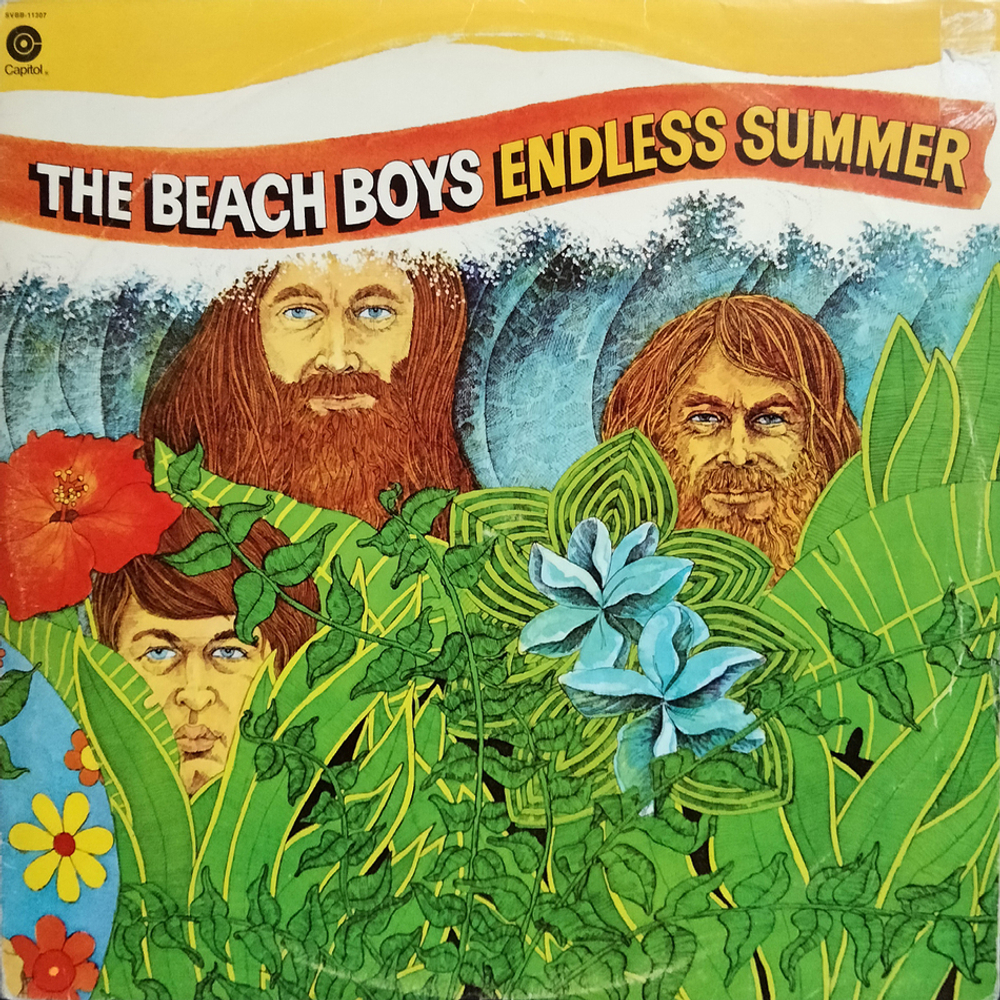 The Beach Boys / Endless Summer (2LP)