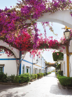 Коллекция Города и страны