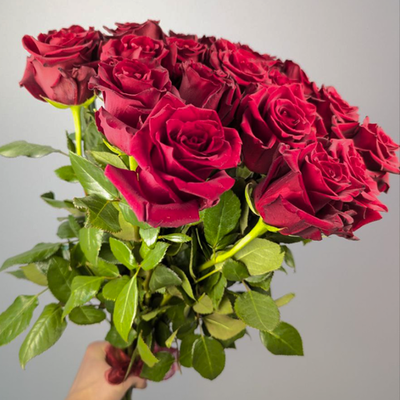 Букет из 25 Роз Эквадор 60