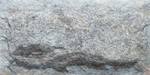 Crossard Stone Mushroom