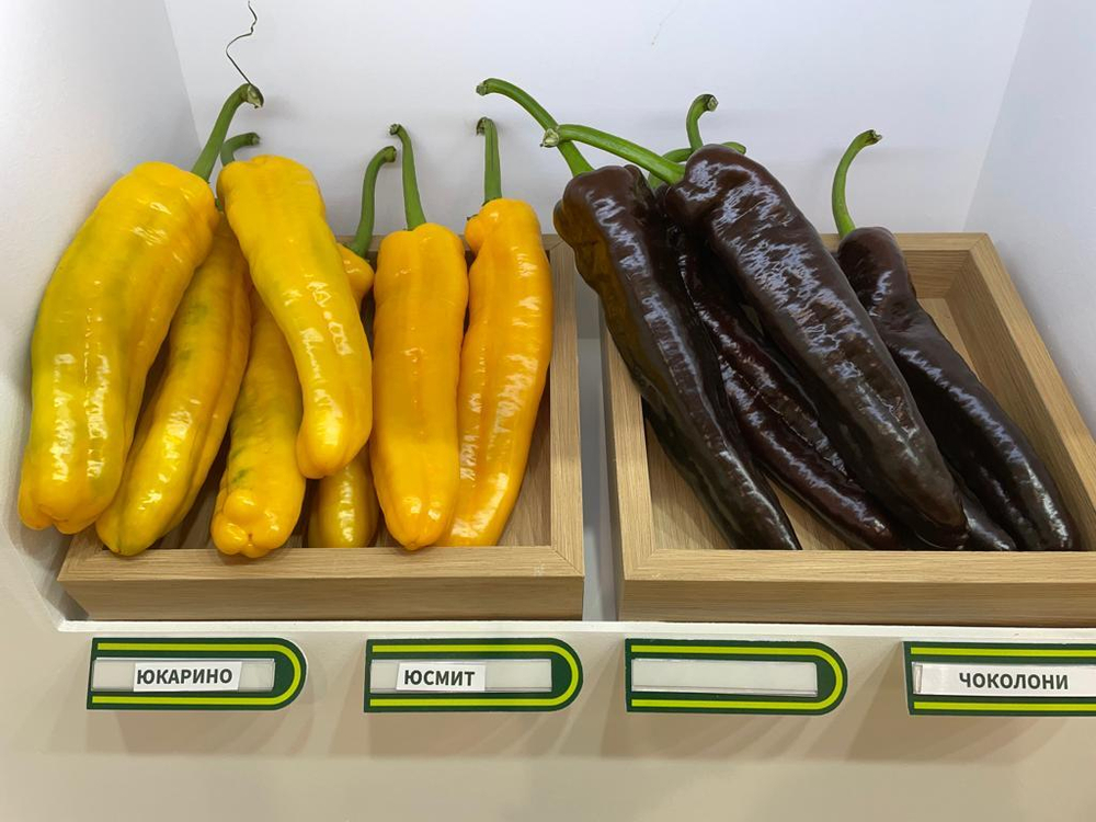 Перец Палермо Юсмит F1 3шт ВитаГрин ЭКСТРА