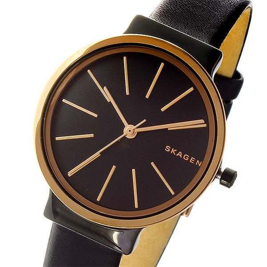 Женские часы Skagen SKW2480