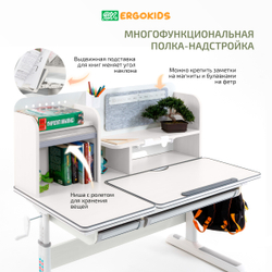 Стол письменный для школьника Ergokids Winnipeg Multicolor BD-630 MAX